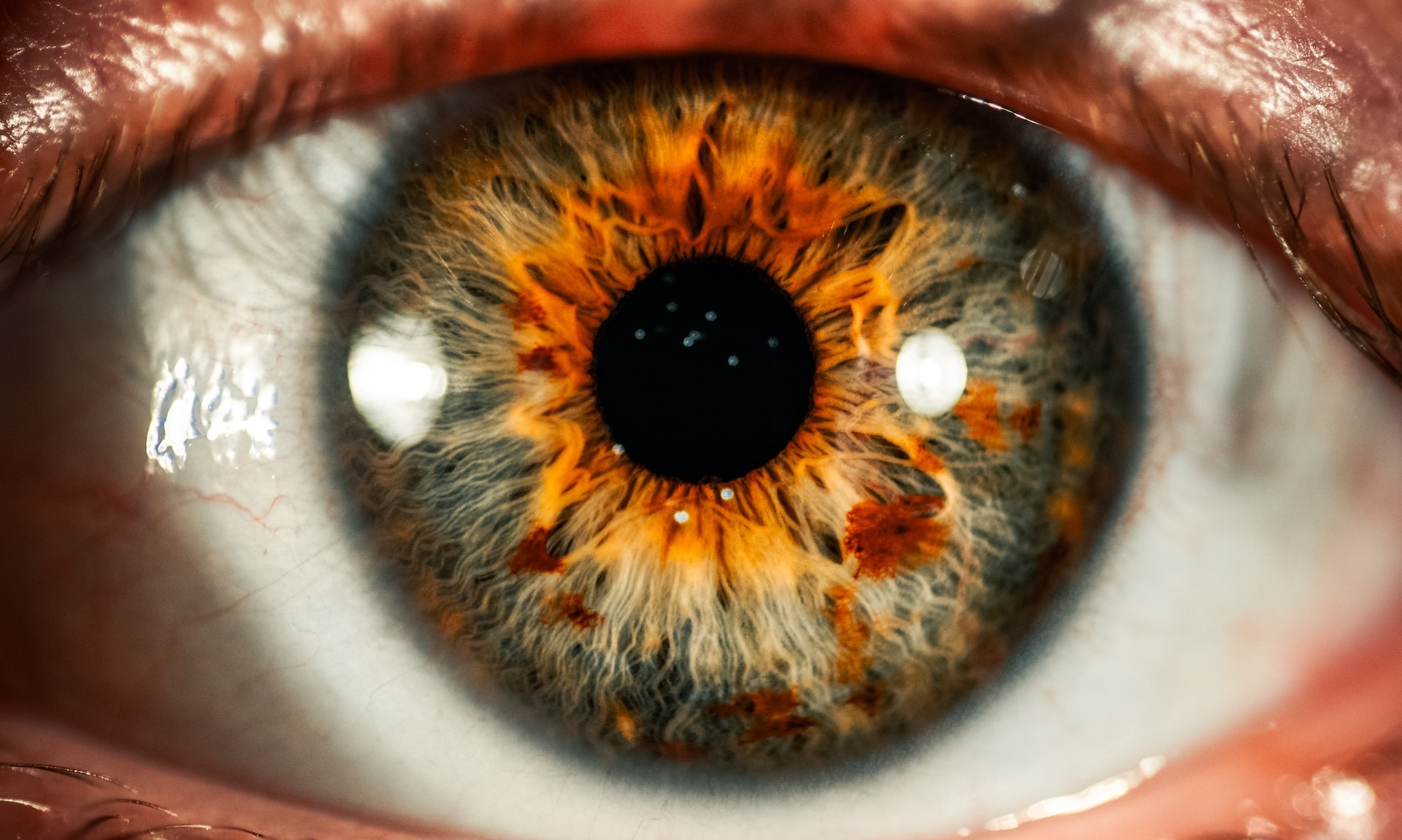 Retina Buatan Bantu Peneliti Pahami Kemampuan Mata Menangkap Warna