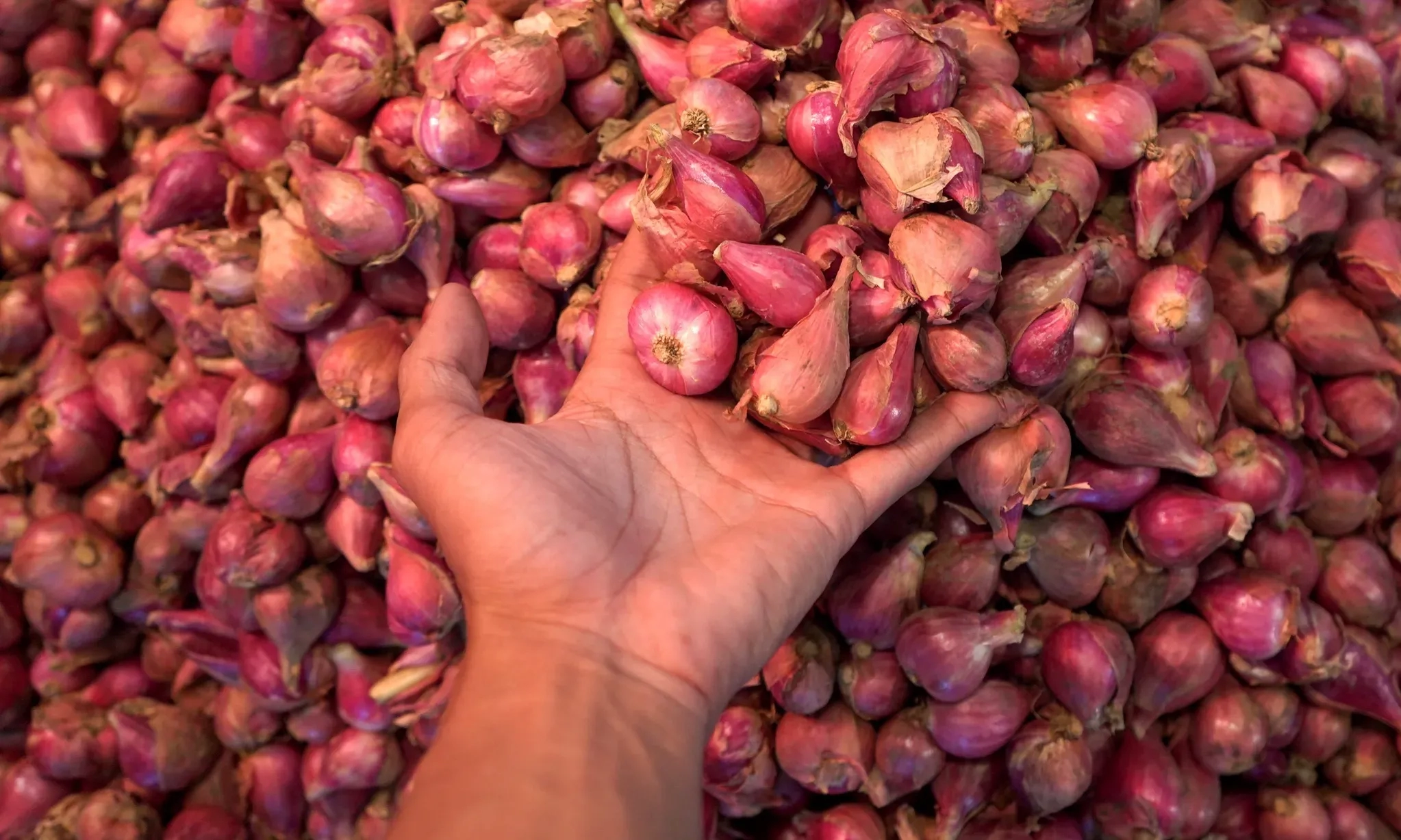 BPS: Tomat, Bawang Merah dan Beras Dongkrak Inflasi Januari 0,04%