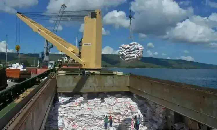 Peneliti Sebut Tata Kelola Beras RI Rumit Dan Izin Impor Berlapis