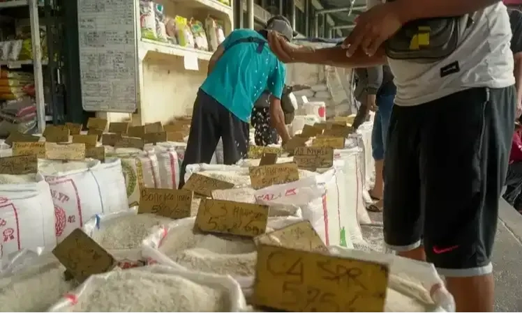 Indef: Harga Beras Yang Terus Naik Bisa Tekan Daya Beli