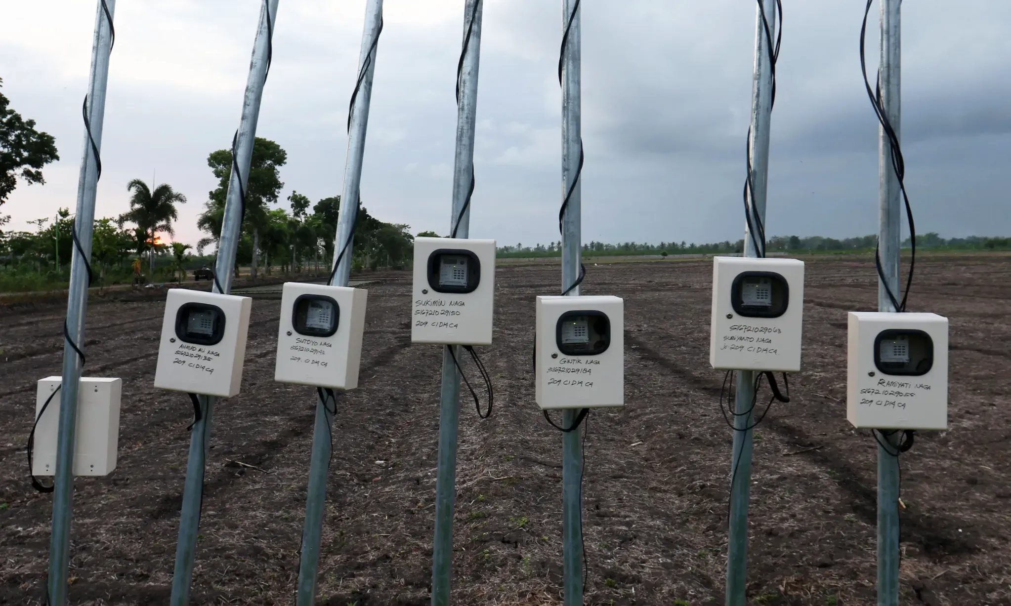 Elektrifikasi Pertanian Dorong Petani Bantul Tanam Sayuran