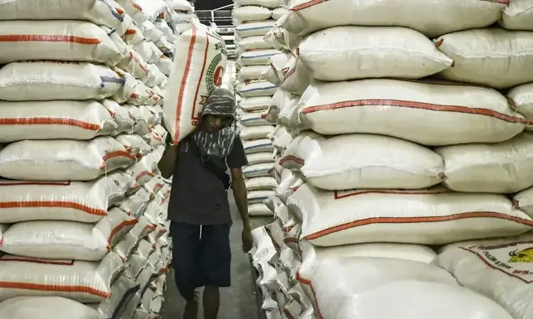 Ikatan Pedagang Mengeluh Sulit Cari Beras