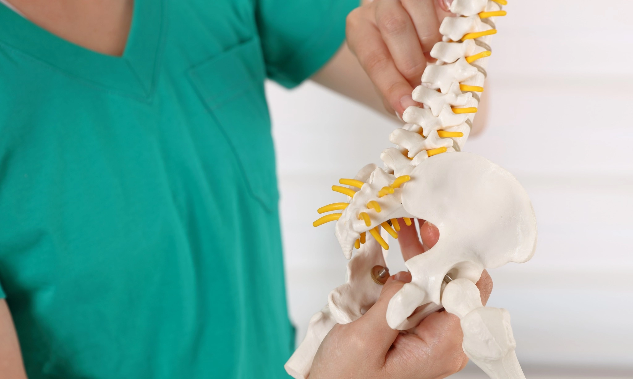 Kapan Manusia Mulai Kehilangan Ekornya?