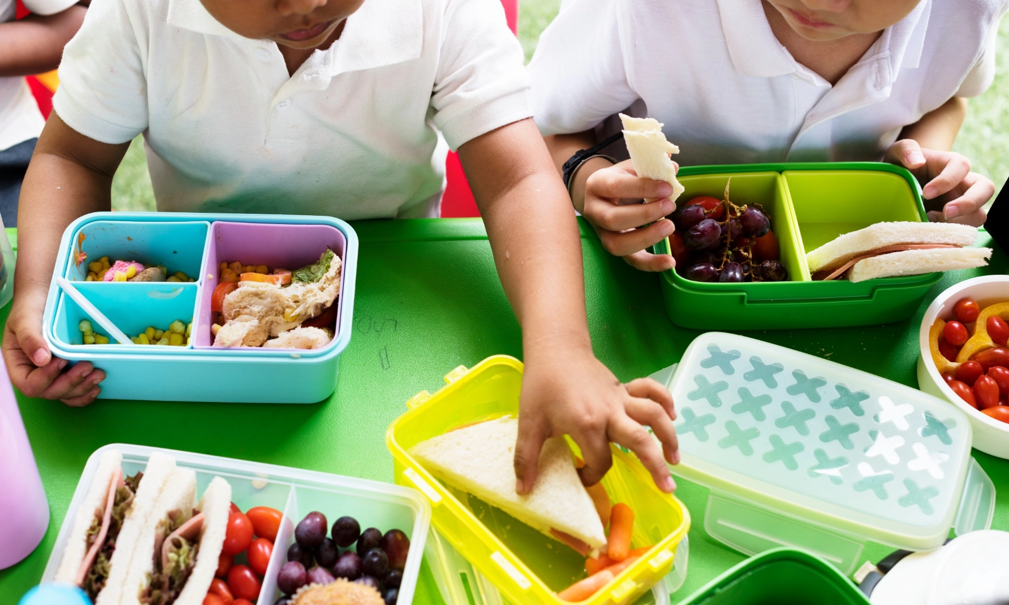 Banyak Negara Telah Terapkan Program Makan Siang Gratis