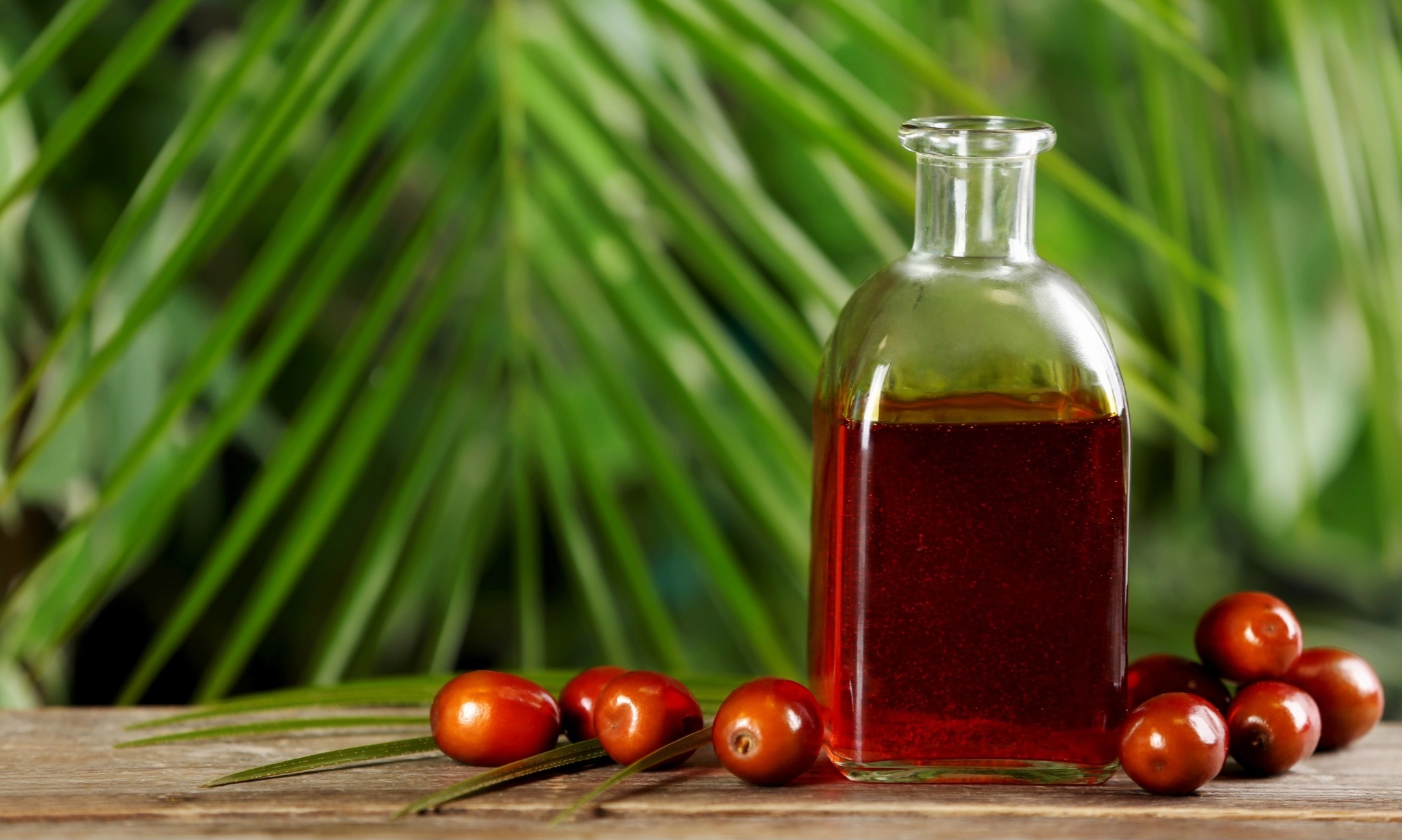 Industri Minyak Makan Merah Diharap Stabilkan Harga TBS