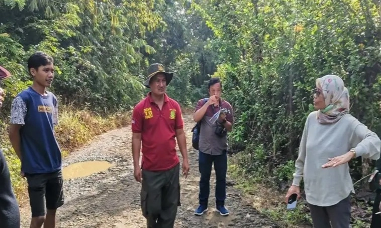 BRIN Temukan Rambut Harimau Jawa Yang Dinyatakan Punah