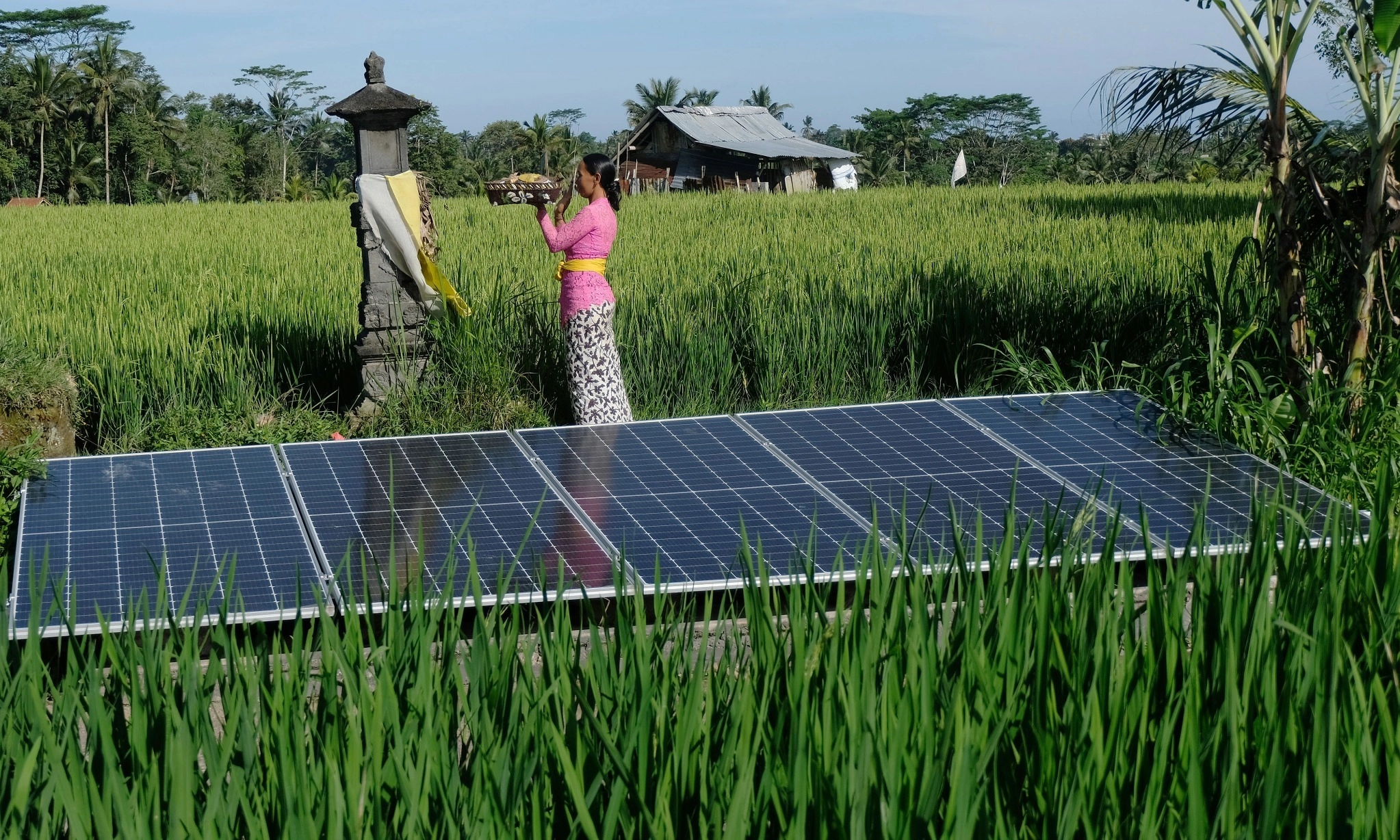 Dilema Keberlanjutan Panel Surya Untuk PLTS Atap