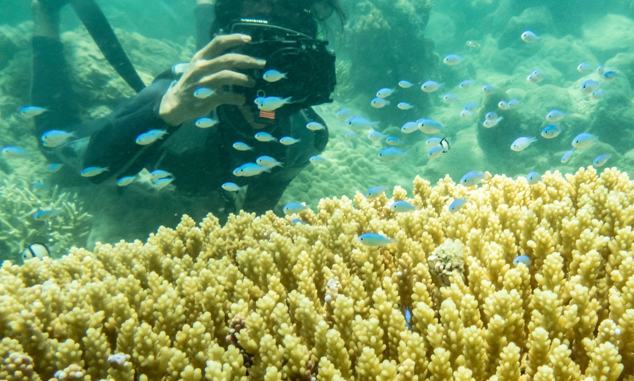 <p>Indonesia Peringkat Ketiga Destinasi <em>Scuba Diving</em> Terbaik Dunia</p>