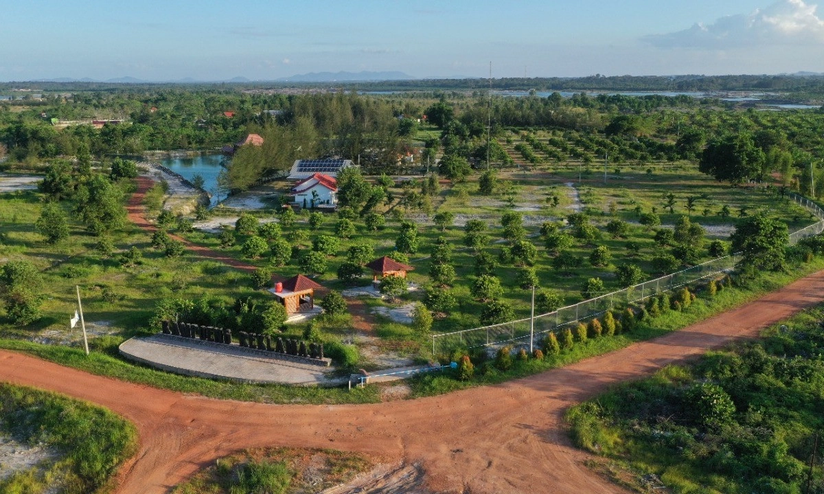 <p>PT Timah Reklamasi Ribuan Hektare Lahan Tambang</p>