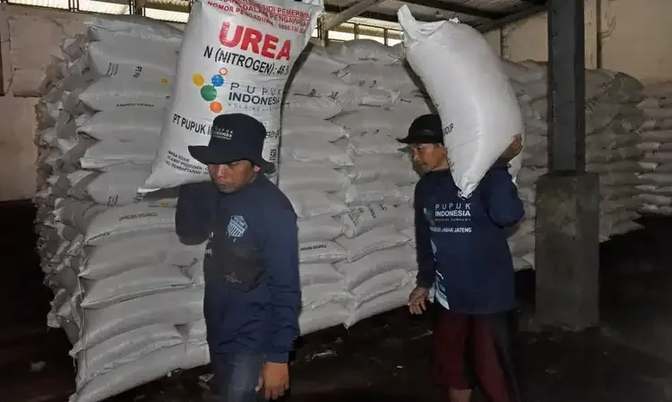 <p>Soal Kelangkaan Pupuk Subsidi, PKT Buka Suara</p>