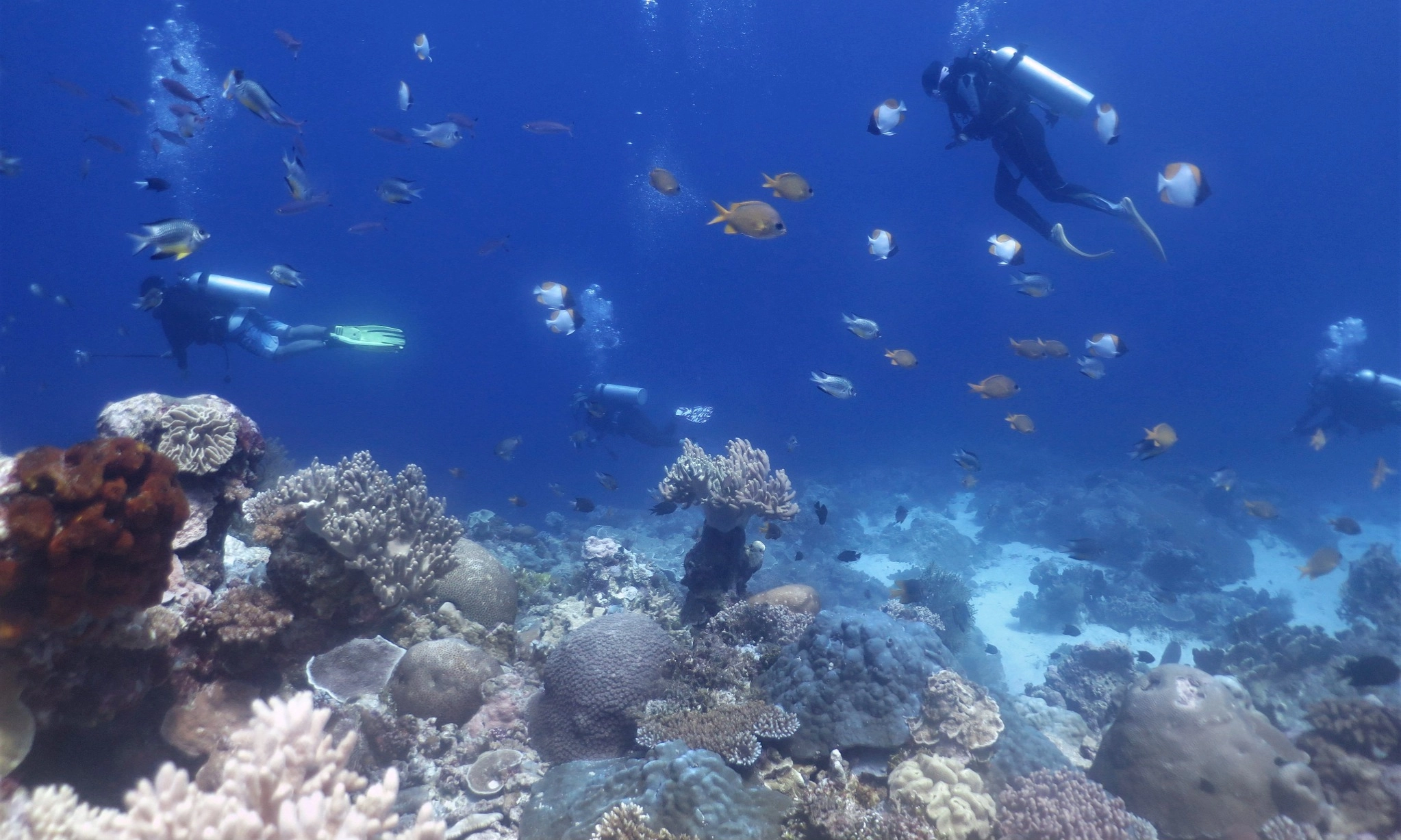 <p>Suku Bajau Dukung Wakatobi Jadi Cagar Biosfer</p>