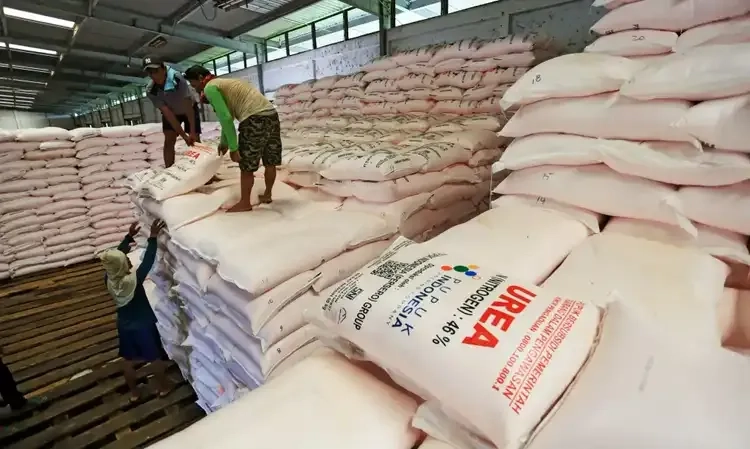 <p>Kementan Pastikan Pupuk Subsidi Tepat Sasaran Dengan Permentan 1/2024</p>