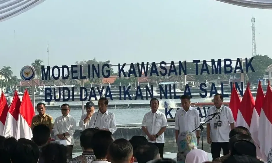 <p>Indonesia Miliki Potensi 78 Ribu Hektare Untuk Tambak Nila</p>