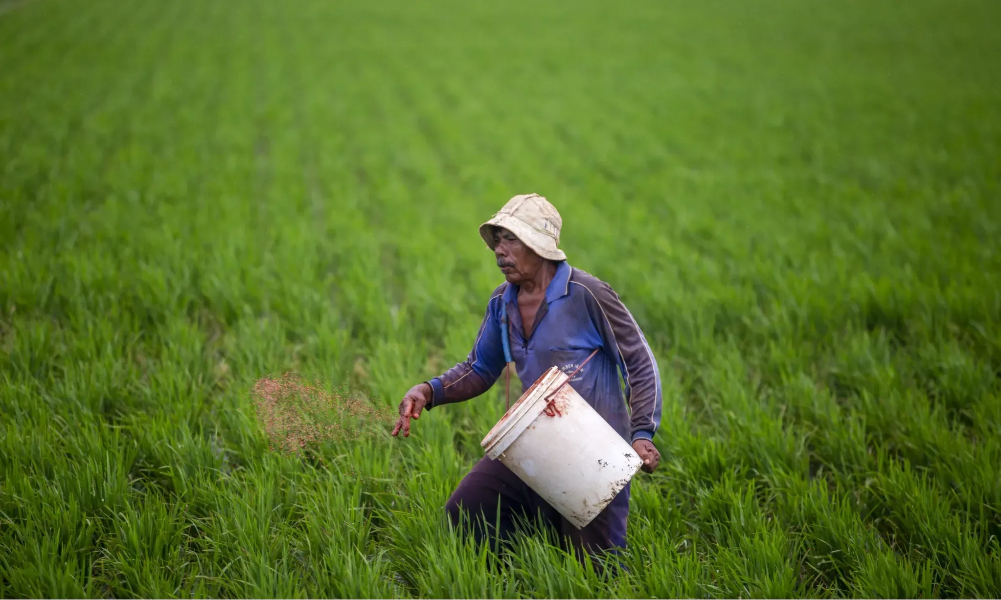 <p id="isPasted">Program Pompanisasi Kementan Diminta Diimbangi Pendataan Petani</p>