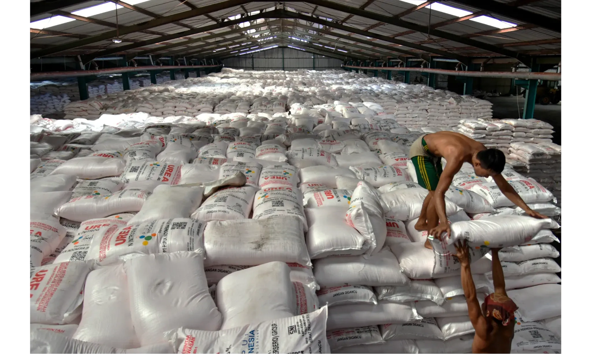 <p id="isPasted">Petani minta Subsidi Pupuk NPK Terpenuhi</p>