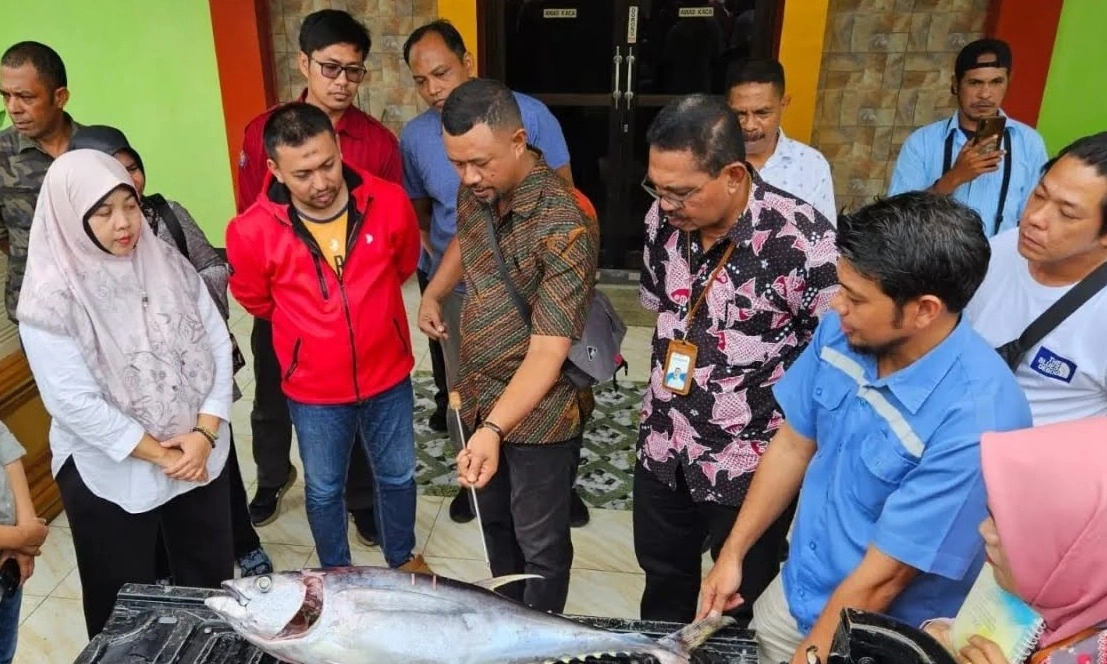 <p>Jelang Implementasi PIT, KKP Siapkan <em>Checker</em> Mutu Ikan Di Tual</p>