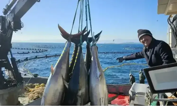 <p>KKP Harmonisasikan Mutu Perikanan RI Dengan Tiga Negara</p>