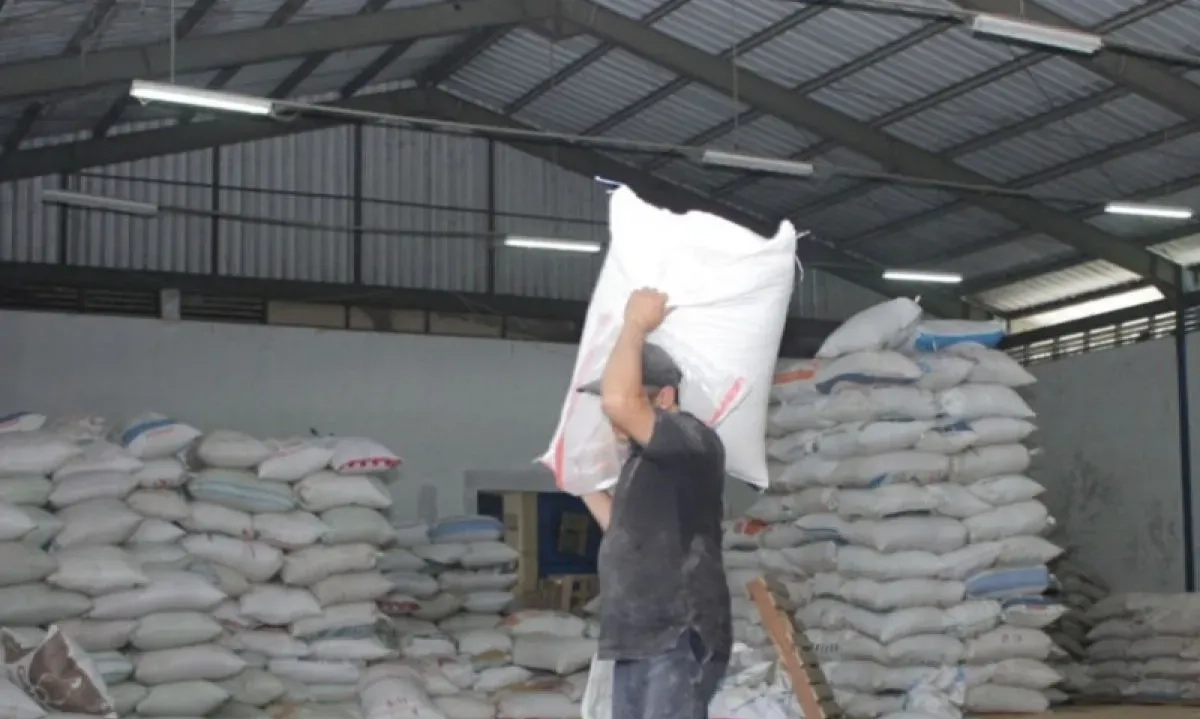 <p id="isPasted">BI: Resi Gudang Bisa Dijadikan Agunan Untuk Pinjam Modal</p>