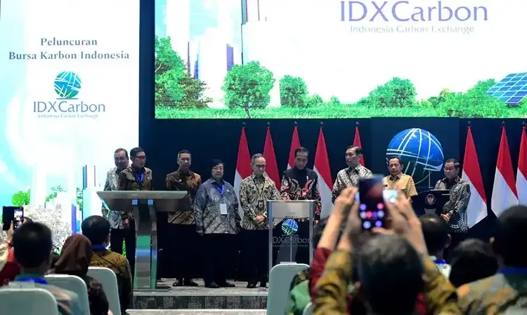 <p id="isPasted">Banyak Tantangan, Kemenkeu Akui Transaksi Bursa Karbon RI Masih Minim</p>