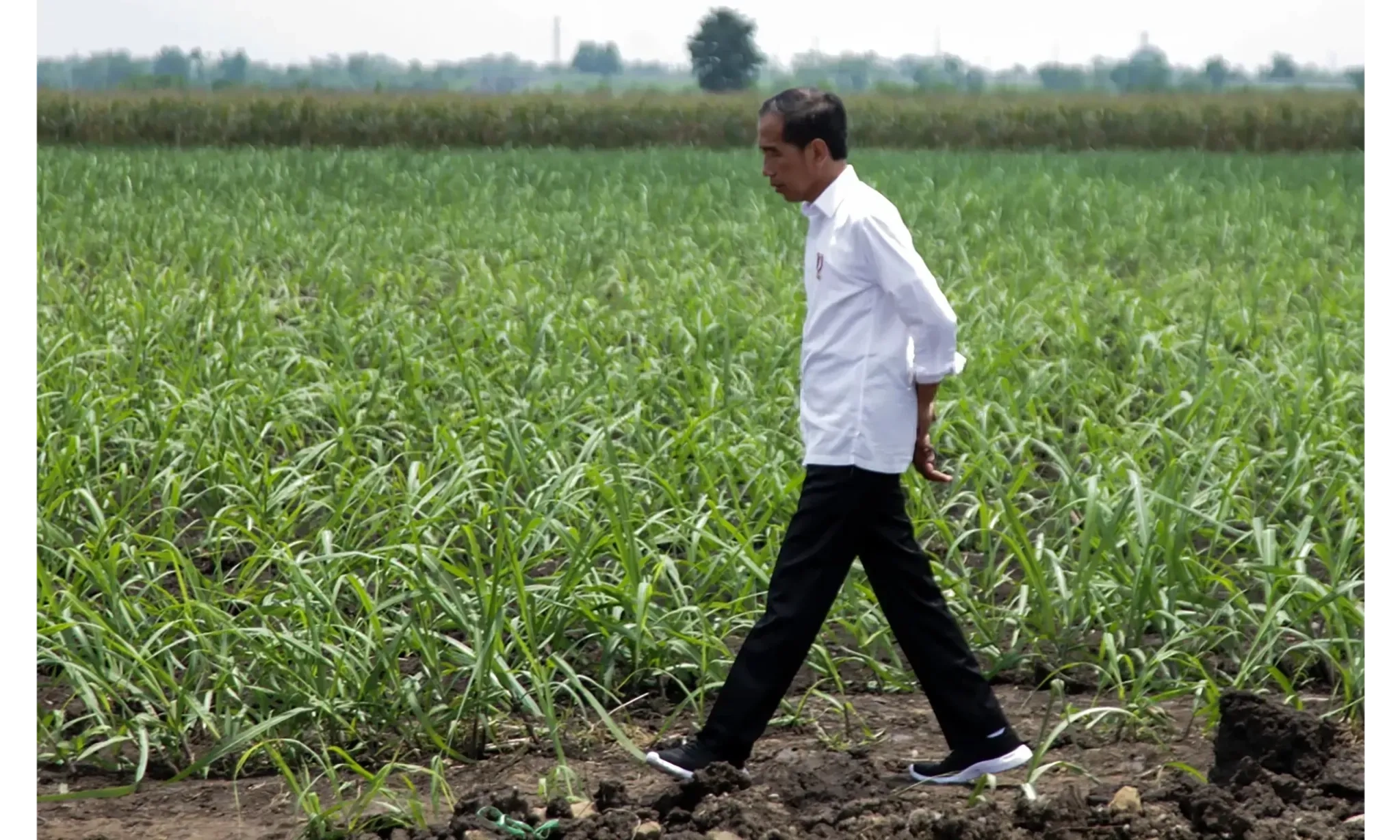 <p>Jokowi Bantah Ada Bansos Untuk Korban Judi&nbsp;<em>Online</em></p>