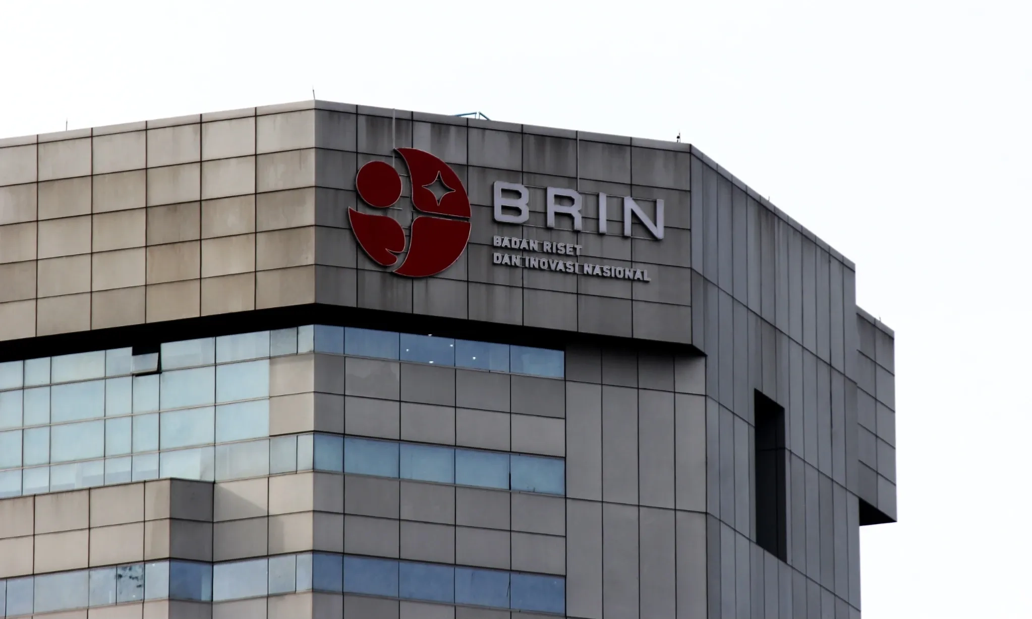 <p><b id="isPasted">Efek Analgesik Daun Kratom Berpotensi Dimanfaatkan Dunia Kesehatan</b></p>