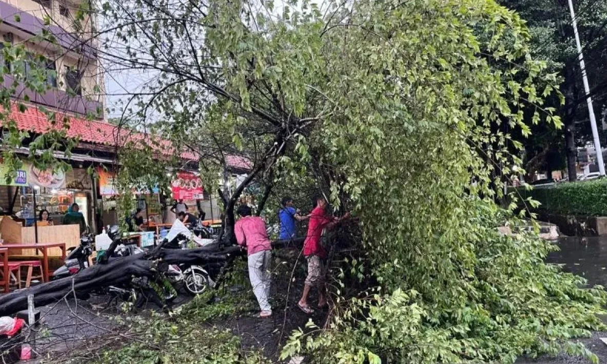 <p>DKI Pastikan, Warga Terdampak Pohon Tumbang Bisa Klaim Santunan</p>