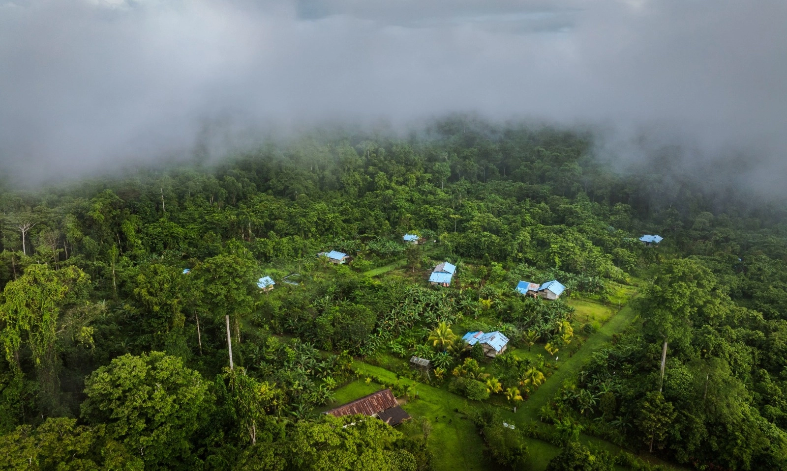 <p>Tantangan Kampung Ekowisata Malagufuk Pertahankan Hutan Adat</p>