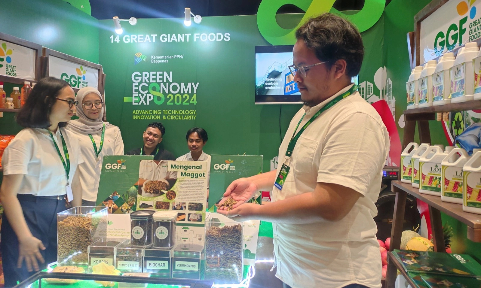 <p id="isPasted">Terapkan Pertanian Sirkular, GGF Budi Daya Maggot Untuk Pupuk Organik</p>