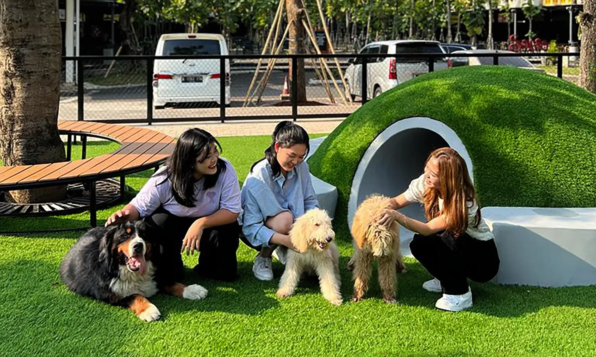 <p>Bahaya Memberikan Obat Manusia Ke Anabul</p>