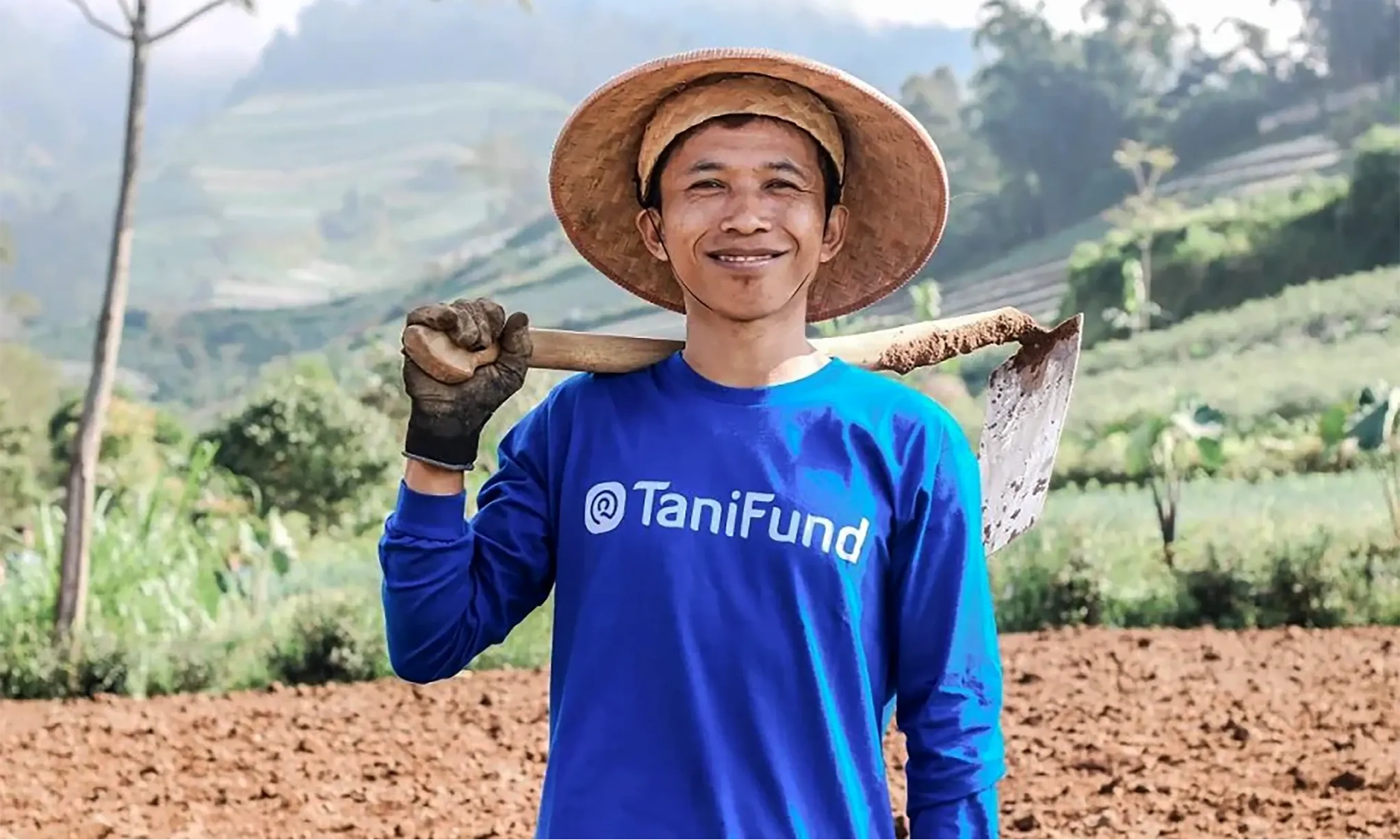 <p id="isPasted">OJK Beri Ungkap Perkembangan Kasus Tani Fund dan Investree</p>