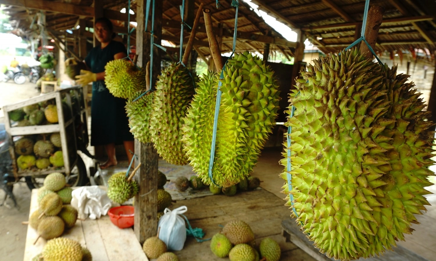 <p id="isPasted">Peluang Ekspor Durian, Indonesia Masih Tunggu Persetujuan Tiongkok</p>