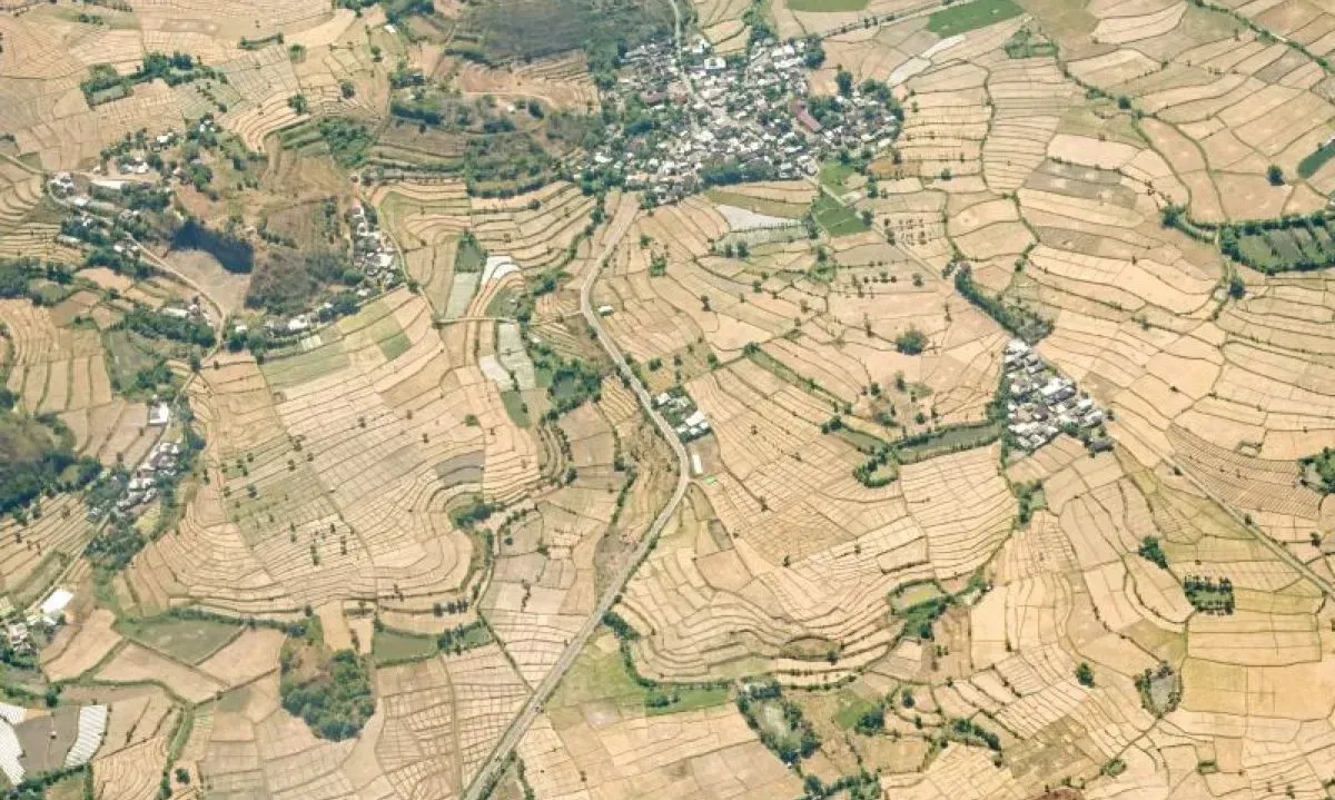 <p>NTB Mulai Alami Kekeringan</p>