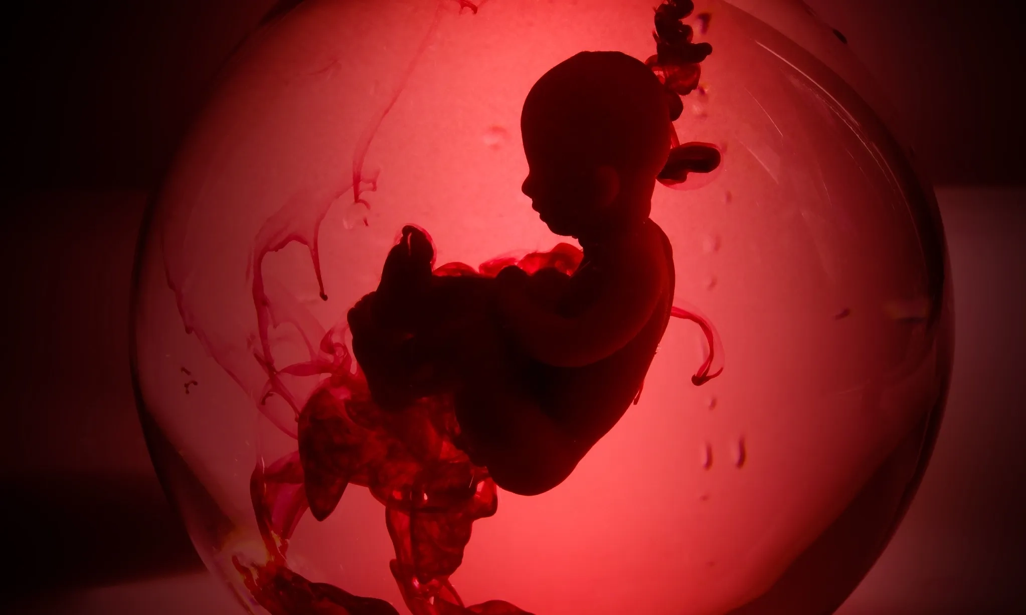 <p>Pemerintah Izinkan Aborsi Bersyarat</p>