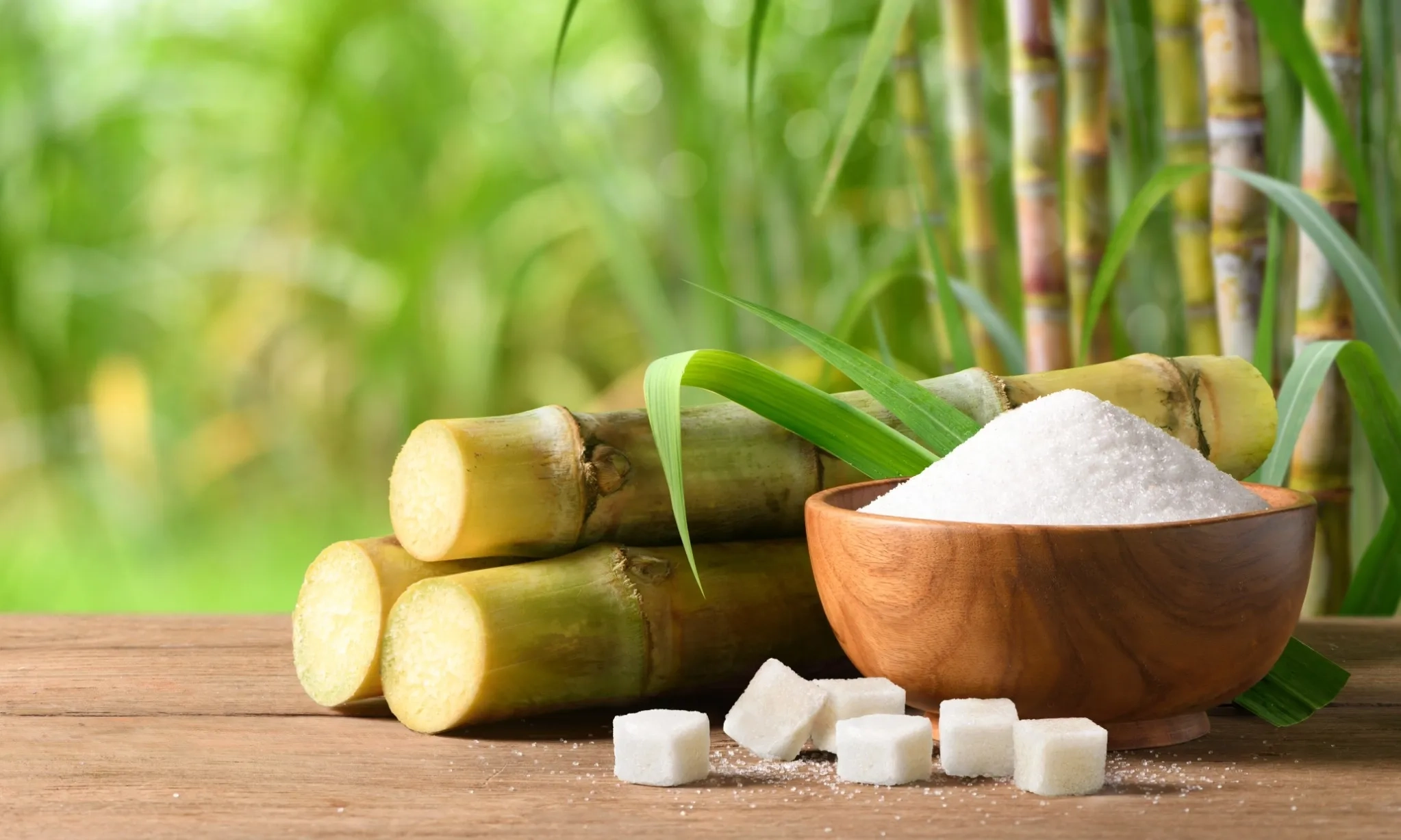 <p>Gula Tebu dan Hikayat Si Manis Yang Mendunia</p>