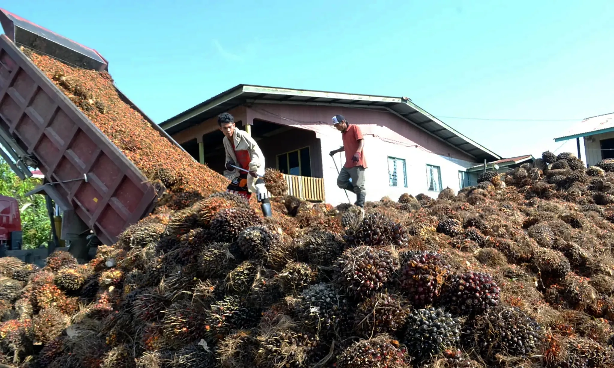 <p>Ekspor Komoditas Unggulan CPO, Batu Bara, Besi Baja Kompak Anjlok, Kenapa?</p>