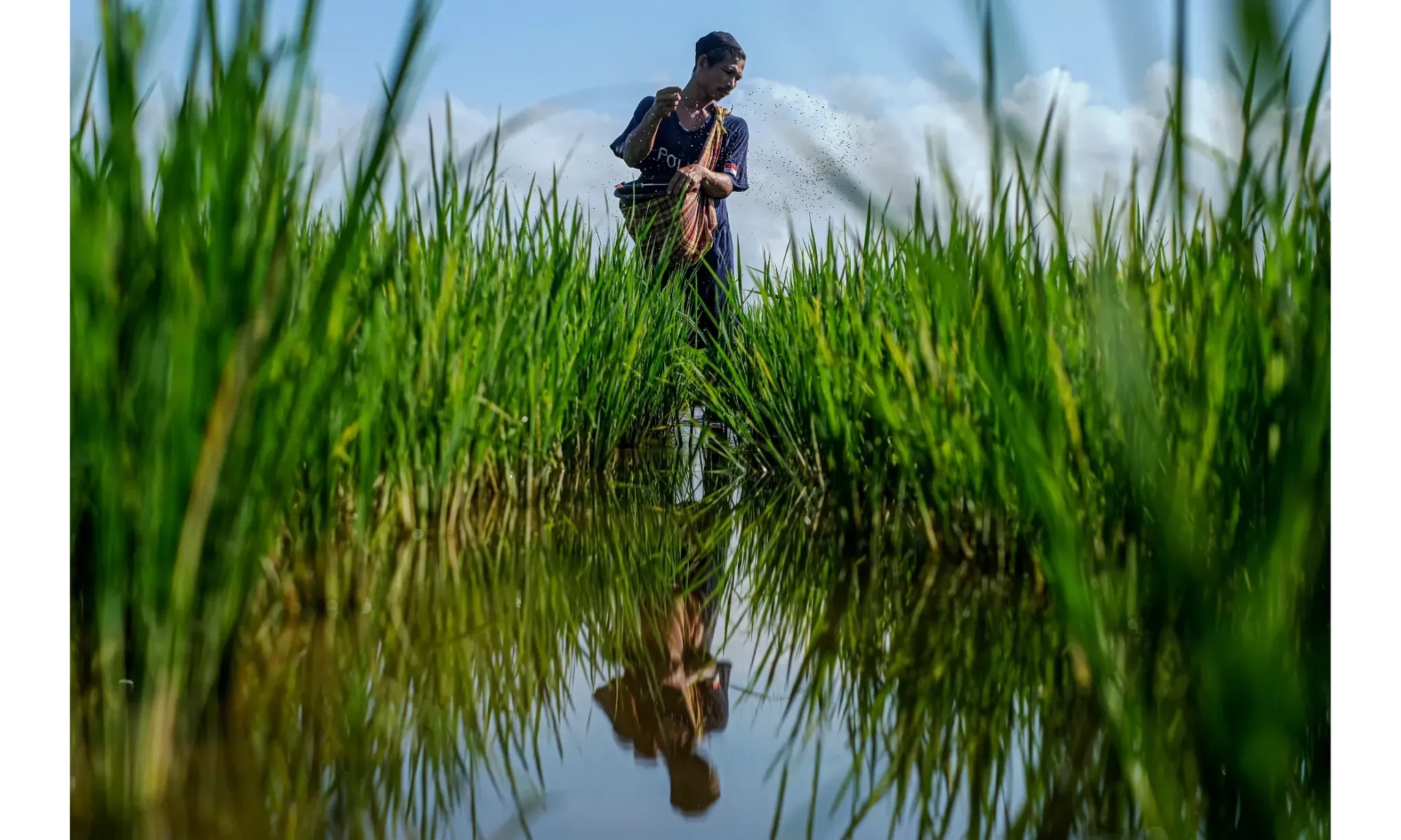 <p id="isPasted">Stop Impor Beras Jadi Target Pertanian di Kepemimpinan Prabowo</p>