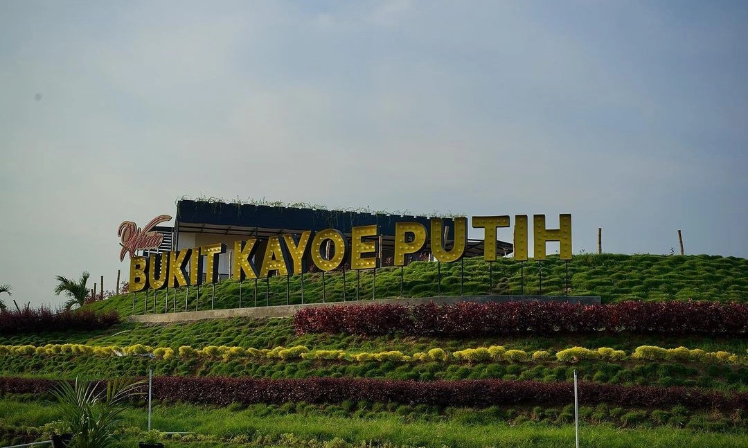 <p>Wisata Edukasi Pembuatan Minyak Kayu Putih Di Mojokerto</p>