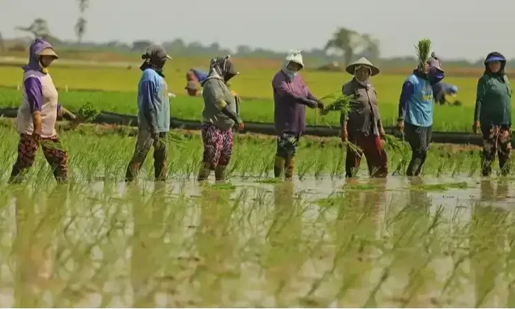 <p>Bos Pupuk Indonesia Beberkan Strategi Regenerasi Petani</p>