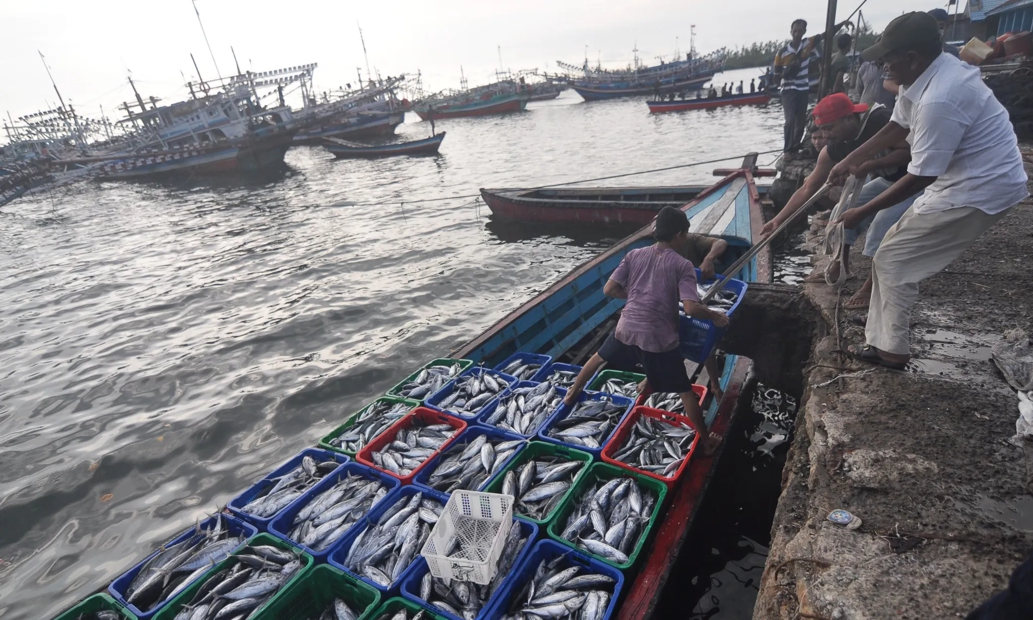 <p id="isPasted">Dukung Industri Perikanan Maluku, Trenggono Resmikan SKPT Saumlaki</p>