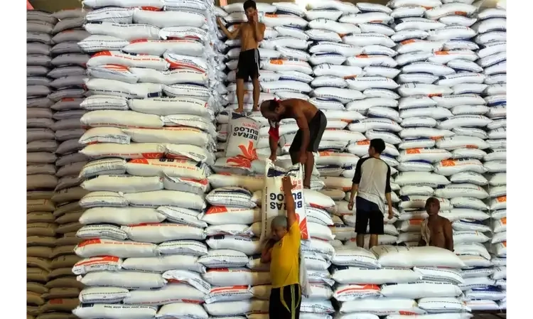 <p id="isPasted">CIPS: Skema CBP Belum Tentu Jamin Ketersediaan Beras Jangka Panjang</p>