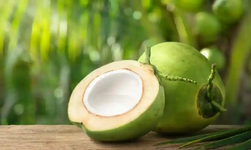 <p><span data-originalcomputedfontsize="14.666666984558105" data-removefontsize="true">Pertamina Pertimbangkan Produksi SAF Dengan Minyak Jelantah Hingga Kelapa <em>Reject</em></span></p>