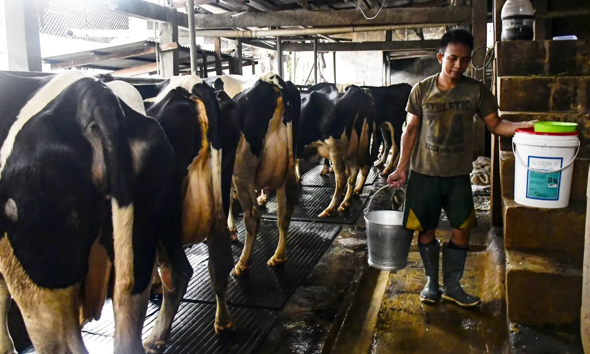 <p id="isPasted">Kementan Siapkan Lahan, Dongkrak Produksi Susu Dan Daging Nasional</p>