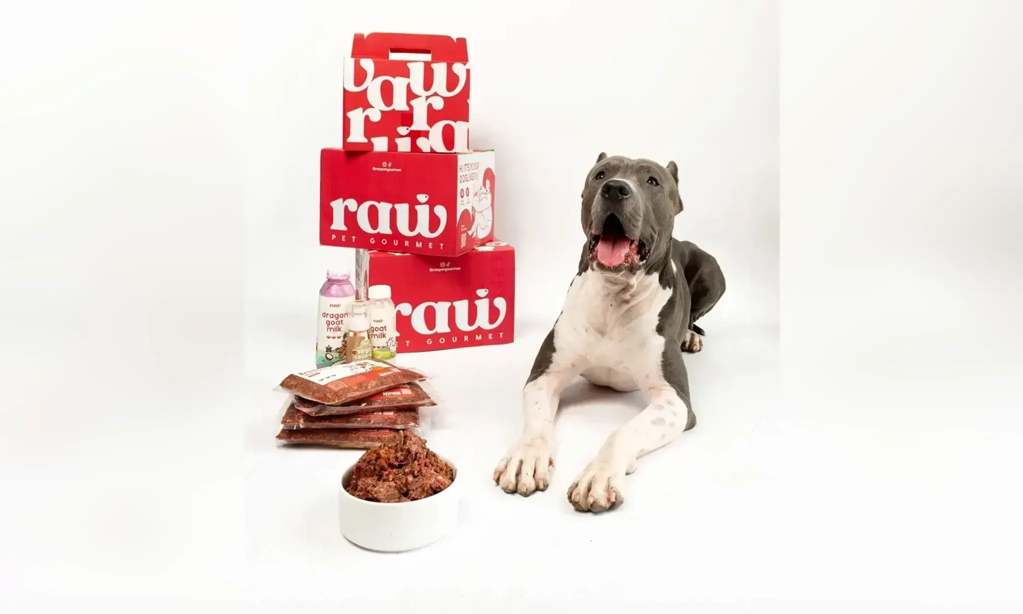 <p id="isPasted">Melengkapi Rasa Sayang Anabul Lewat Makanan Alami</p>