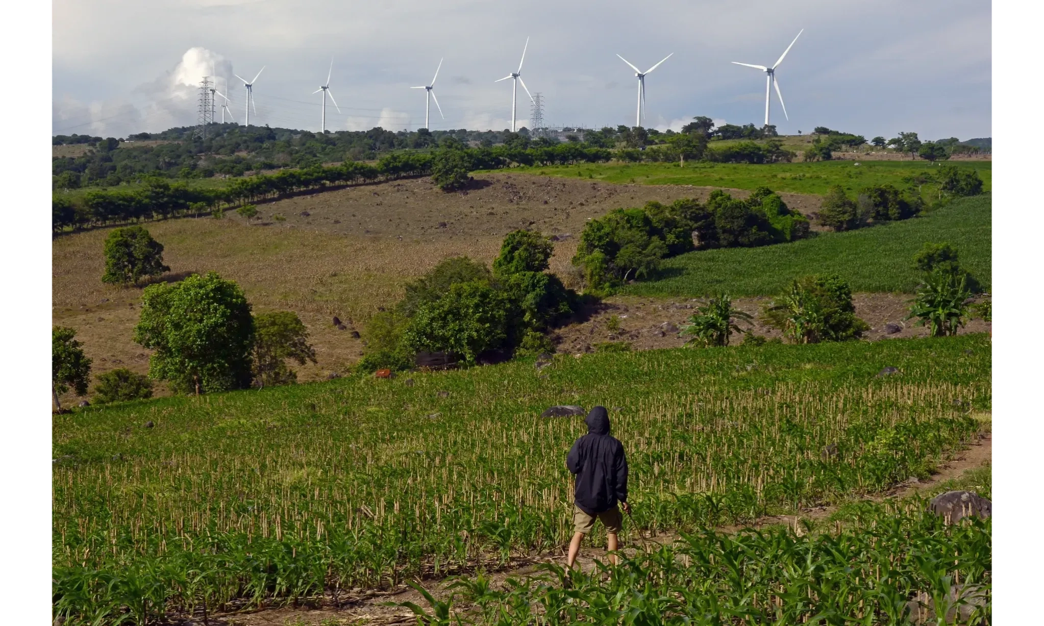 <p>Pemerintah Bidik Kapasitas PLTB Tembus 5 GW Tahun 2030</p>