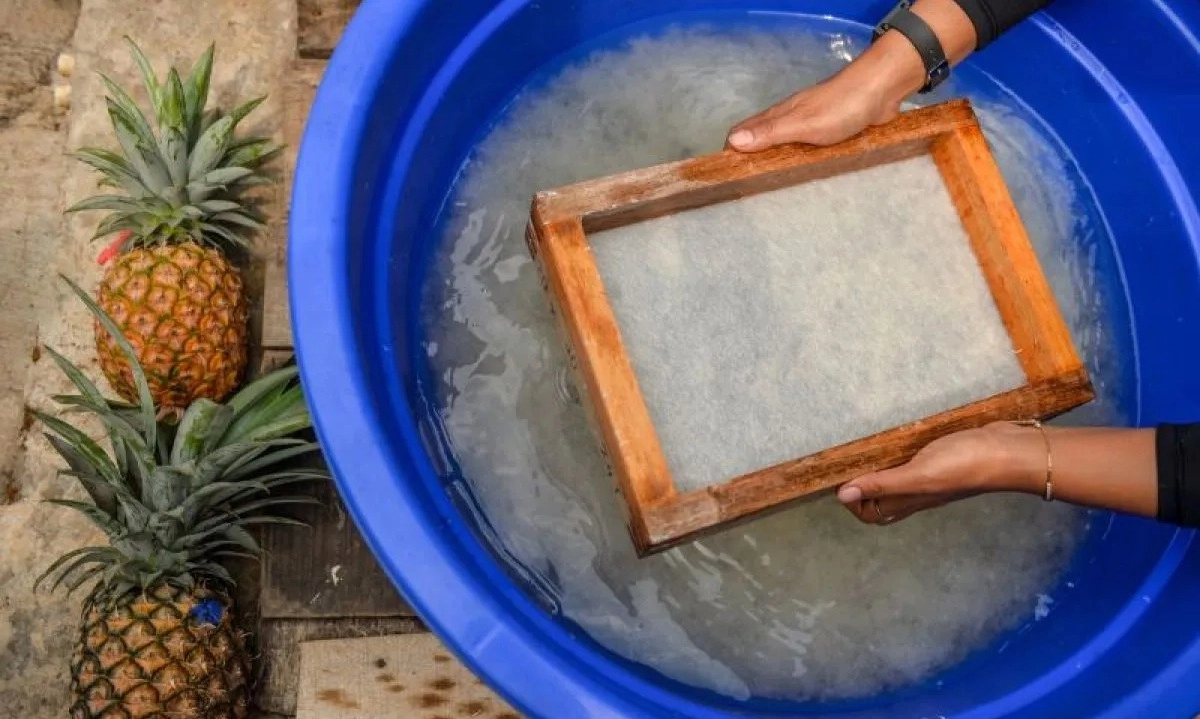 <p>BRIN Tegaskan Indikasi Geografis Penting Bagi Daerah</p>