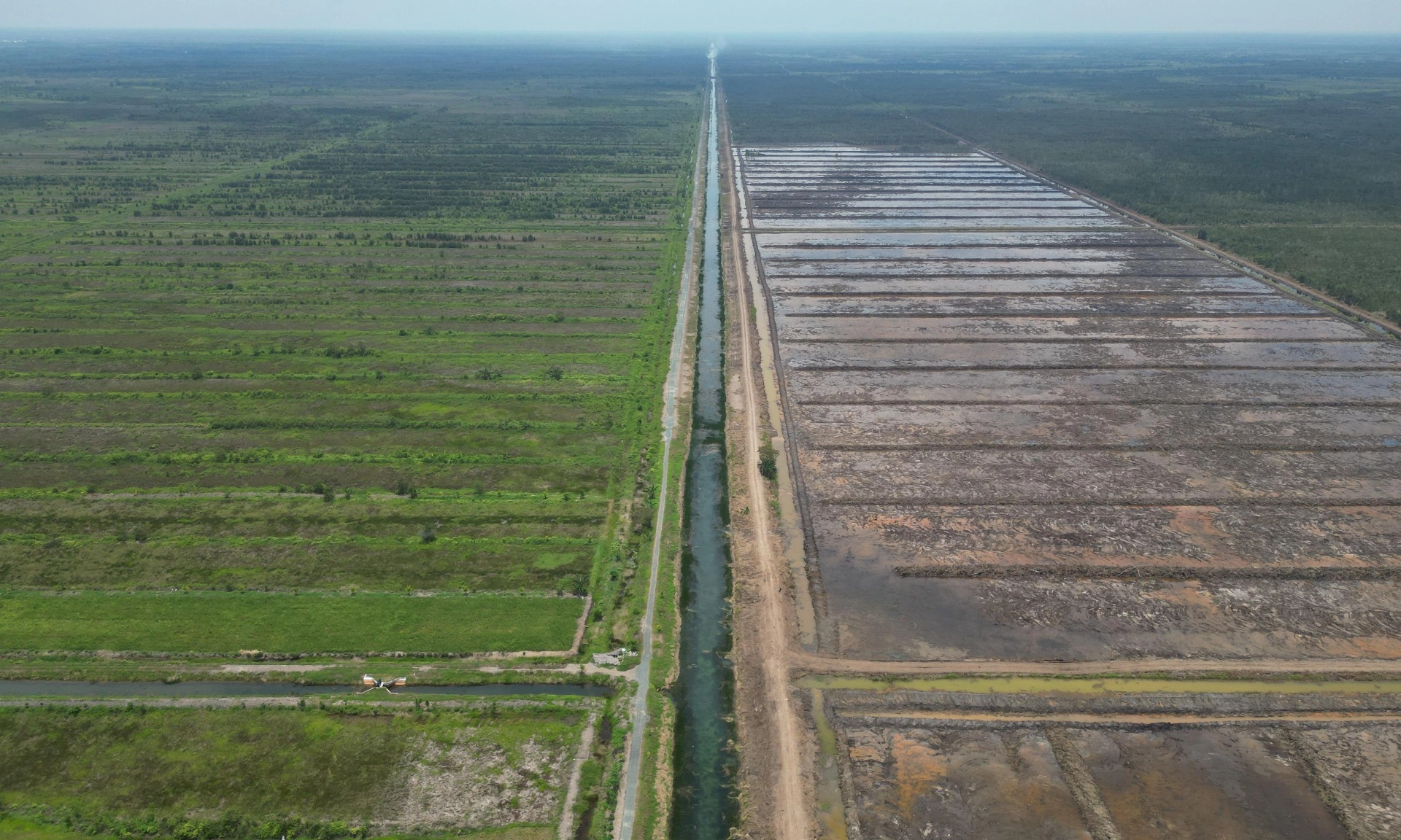 <p>Kementan: Prabowo Dukung Penuh Program Sawah 3 Juta Ha</p>