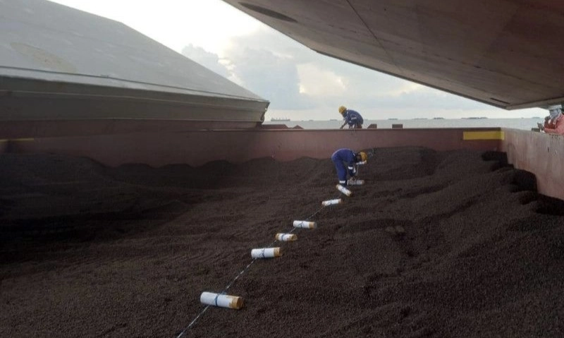 <p>Miris, Riset INDEF Tunjukkan Banyak Petani Sawit RI Tak Tahu EUDR</p>