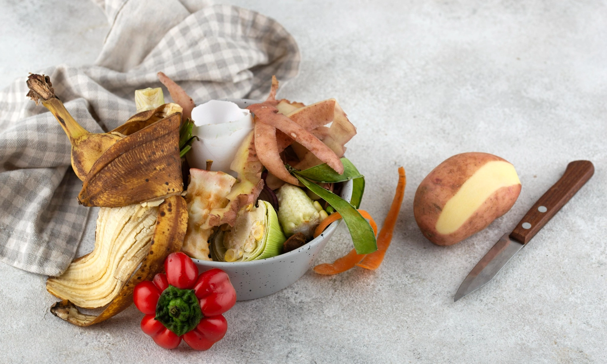 <p>Rekomendasi Bahan Makanan Sehat Ramah Lingkungan</p>