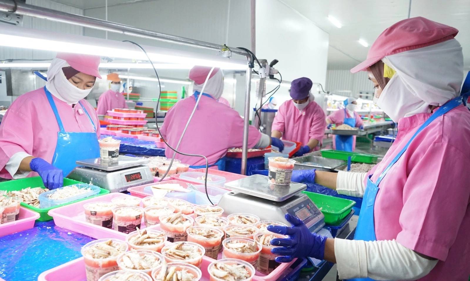 <p id="isPasted">Surplus Ekspor Perikanan Naik 7,2% Di Januari-September 2024</p>