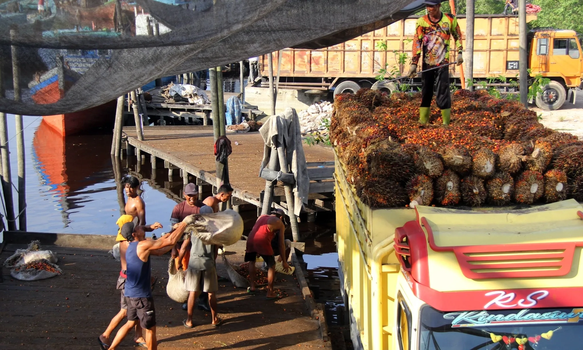 <p id="isPasted">GAPKI: Industri Sawit Hadapi Sejumlah Tantangan</p>